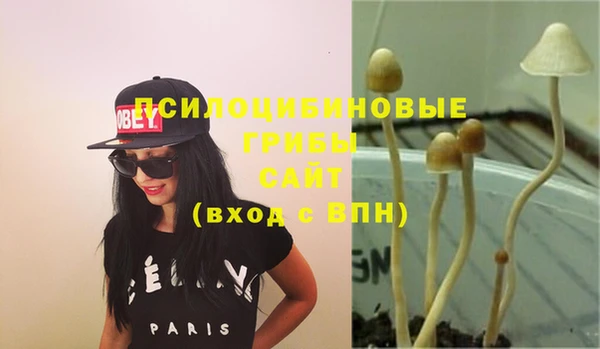 марки nbome Алексеевка