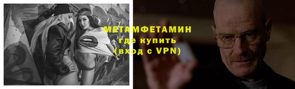 гидра Алексин